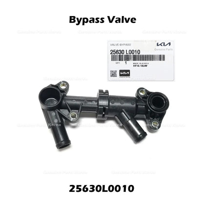 Genuine Bypass Valve 25630L0010 for Hyundai Santa Cruz Tucson Kia Sorento