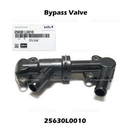 Genuine Bypass Valve 25630L0010 for Hyundai Santa Cruz Tucson Kia Sorento