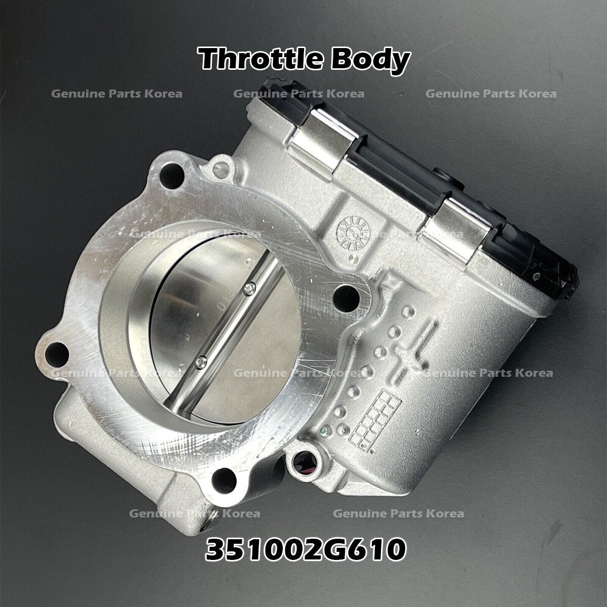 Genuine Throttle Body 351002G610 for Hyundai Santa Fe Sonata Kia Optima