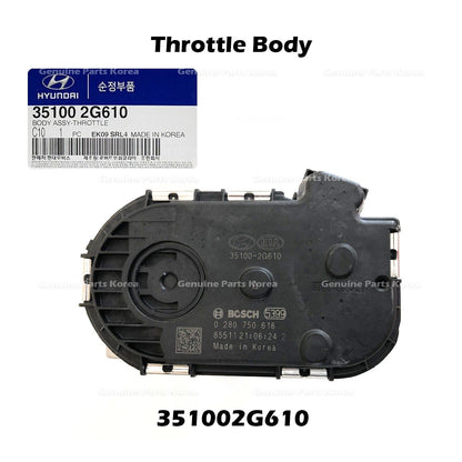 Genuine Throttle Body 351002G610 for Hyundai Santa Fe Sonata Kia Optima