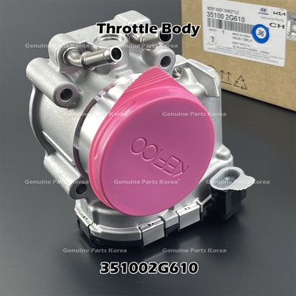 Genuine Throttle Body 351002G610 for Hyundai Santa Fe Sonata Kia Optima