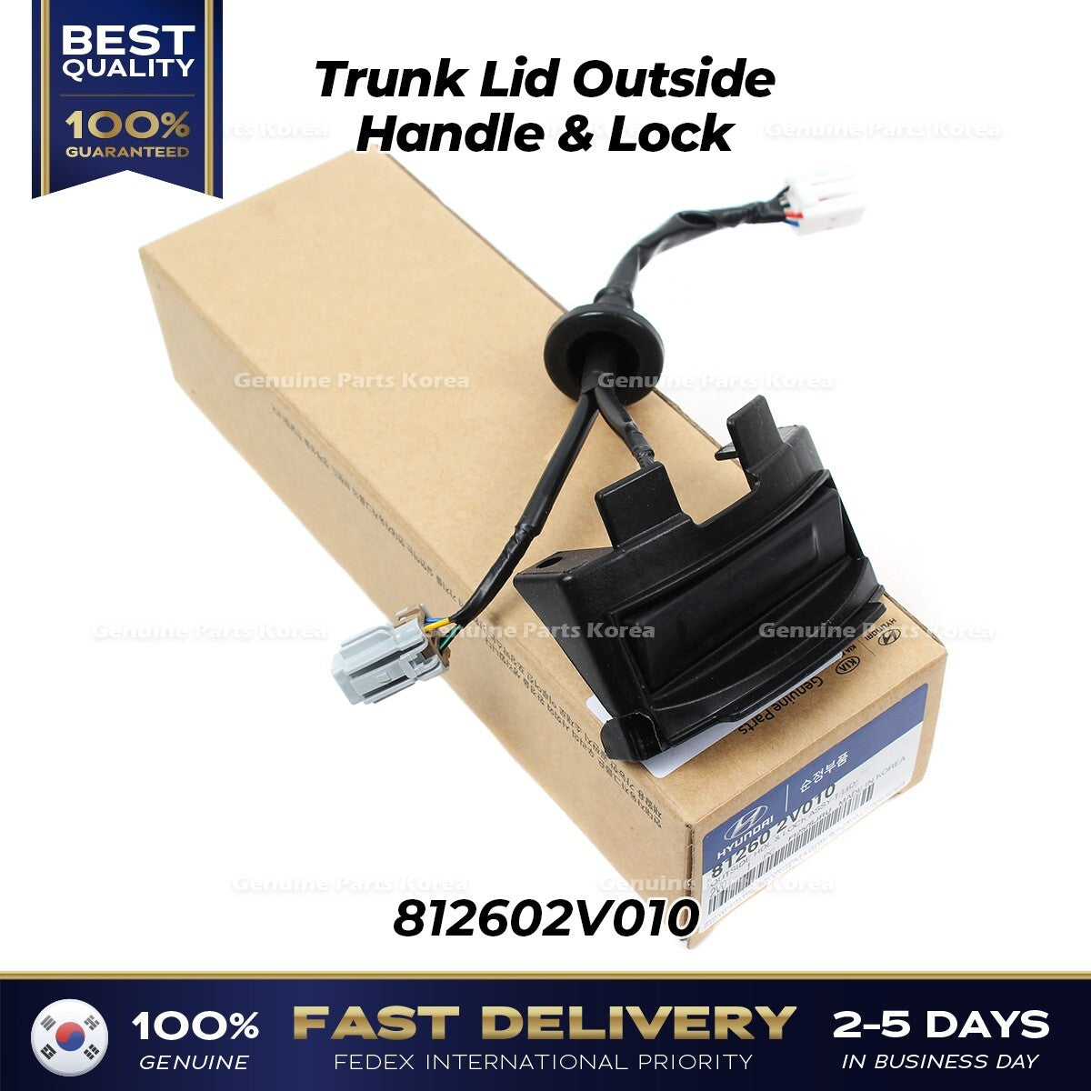 Genuine Trunk Lid Outside Handle & Lock 812602V010 for Hyundai Veloster
