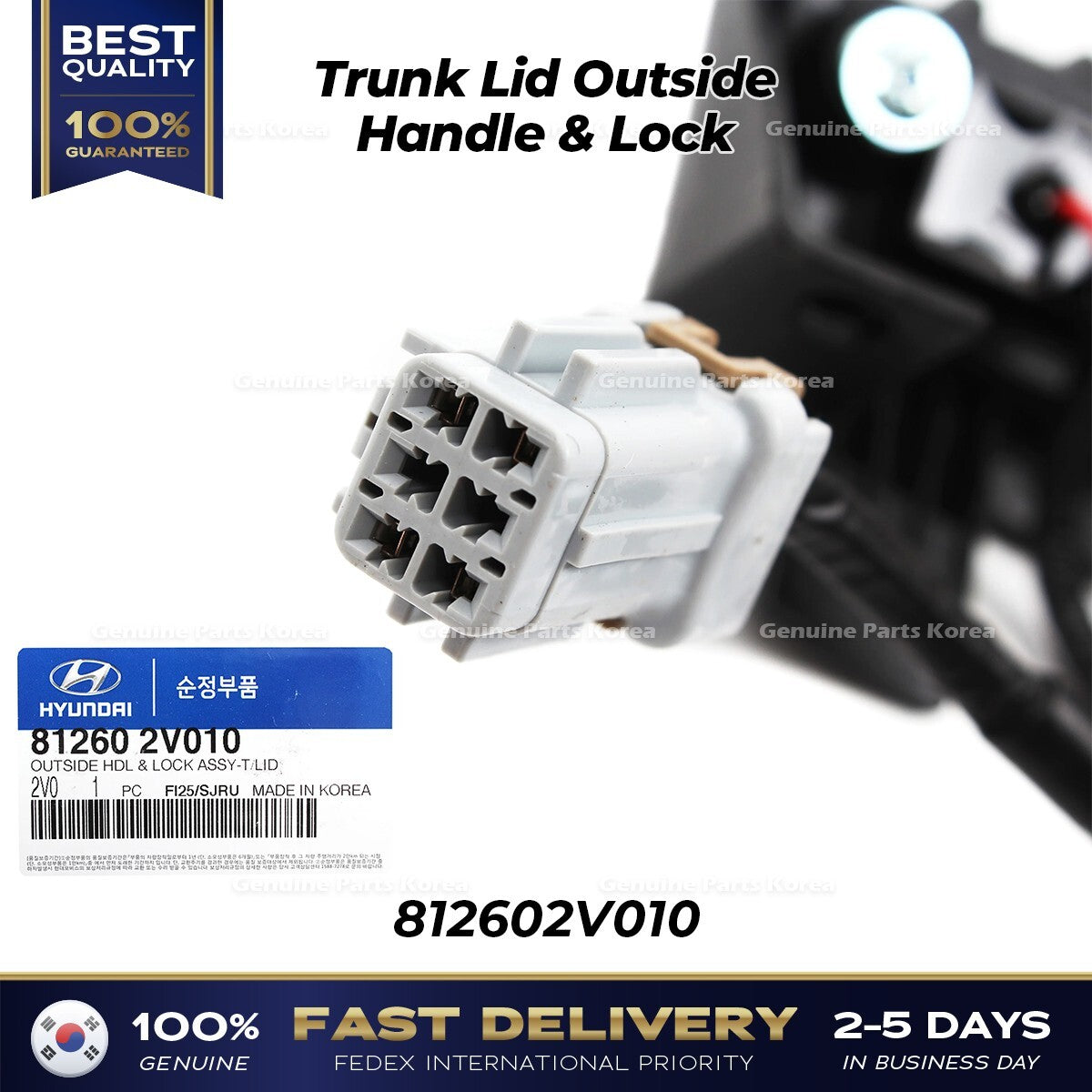 Genuine Trunk Lid Outside Handle & Lock 812602V010 for Hyundai Veloster
