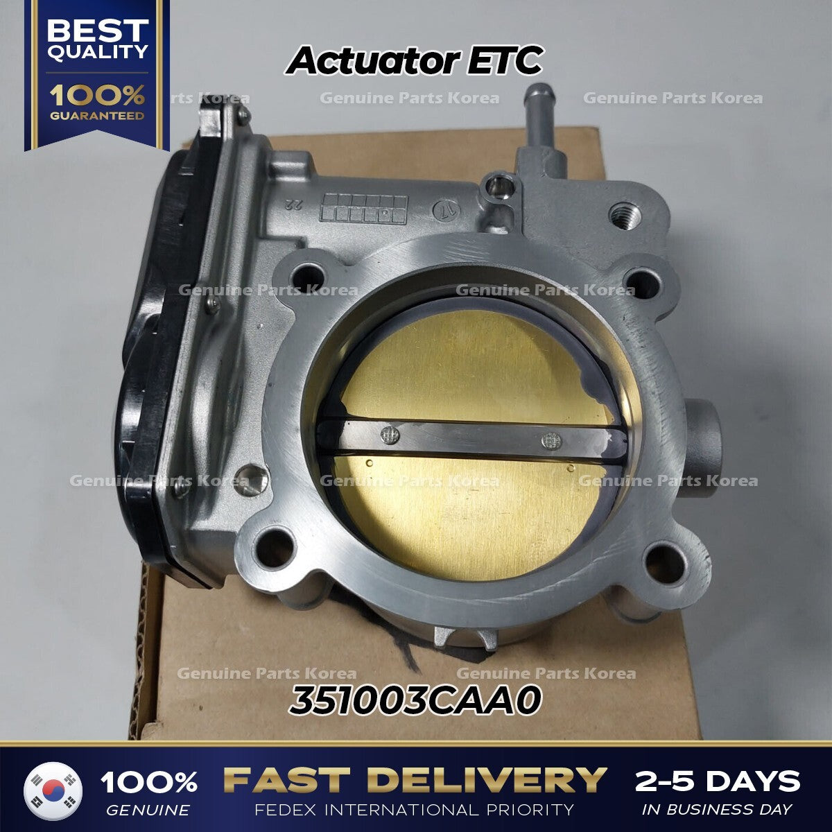 Genuine Actuator ETC 351003CAA0 for Hyundai Azera Santa Fe Kia Cadenza Sedona