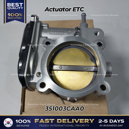 Genuine Actuator ETC 351003CAA0 for Hyundai Azera Santa Fe Kia Cadenza Sedona
