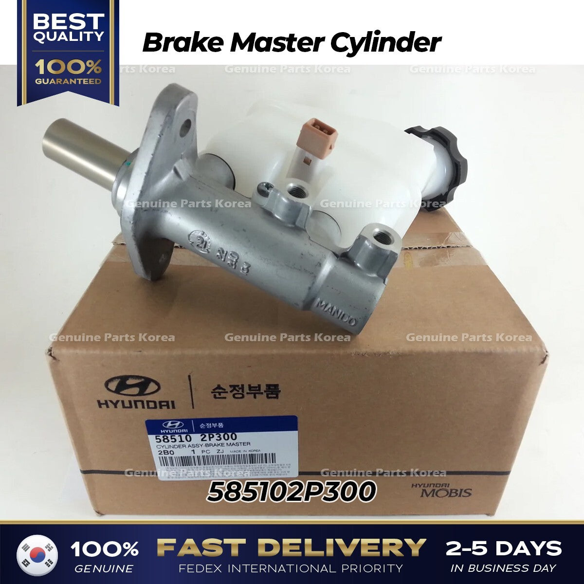 Genuine Brake Master Cylinder 585102P300 for Hyundai Santa Fe