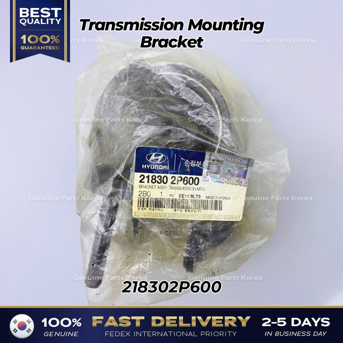 Genuine Transmission Mounting Bracket 218302P600 for Hyundai Santa Fe Kia