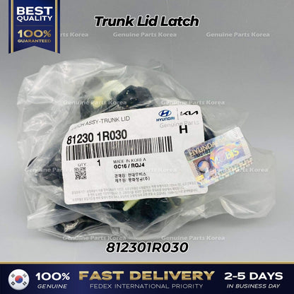 Genuine Trunk Lid Latch 812301R030 for Hyundai Accent