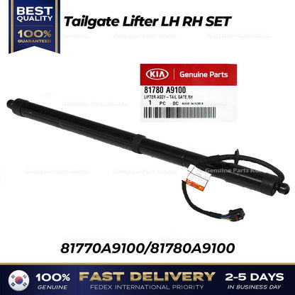 Genuine Tailgate Lifter LH RH SET 81770A9100 81780A9100 for Kia Sedona