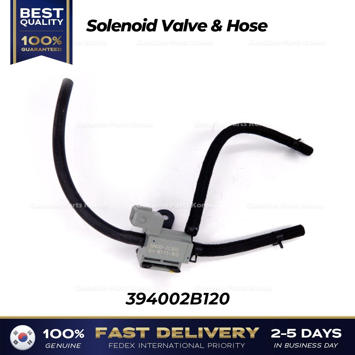 Genuine Solenoid Valve & Hose 394002B120 for Hyundai Tucson