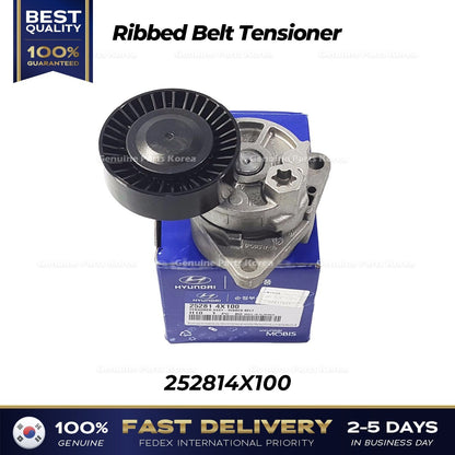 Genuine Ribbed Belt Tensioner 252814X100 for Hyundai Terracan
