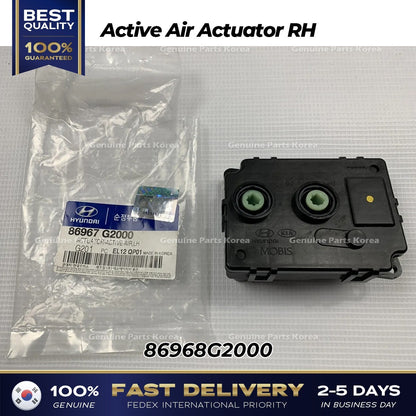 Genuine Active Air Actuator RH 86968G2000 for Hyundai Ioniq