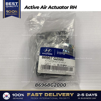 Genuine Active Air Actuator RH 86968G2000 for Hyundai Ioniq