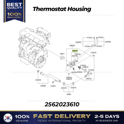 Genuine Thermostat Housing 2562023610 for Hyundai Elantra Tiburon Kia Spectra