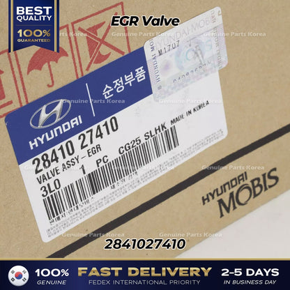 Genuine EGR Valve 2841027410 for Hyundai Santa Fe Kia Sportage