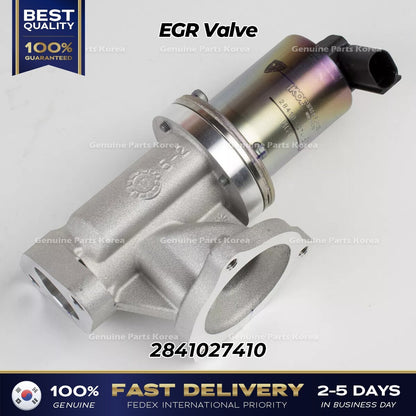 Genuine EGR Valve 2841027410 for Hyundai Santa Fe Kia Sportage