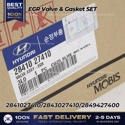 Genuine EGR Valve & Gasket SET 2841027410 for Kia Sportage