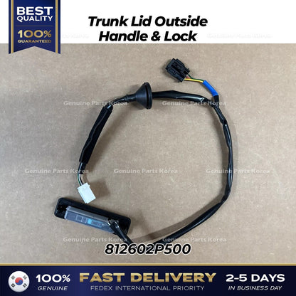 Genuine Trunk Lid Outside Handle & Lock 812602P500 for Kia Sorento