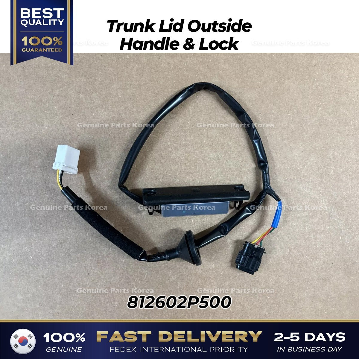 Genuine Trunk Lid Outside Handle & Lock 812602P500 for Kia Sorento