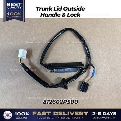Genuine Trunk Lid Outside Handle & Lock 812602P500 for Kia Sorento