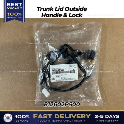 Genuine Trunk Lid Outside Handle & Lock 812602P500 for Kia Sorento