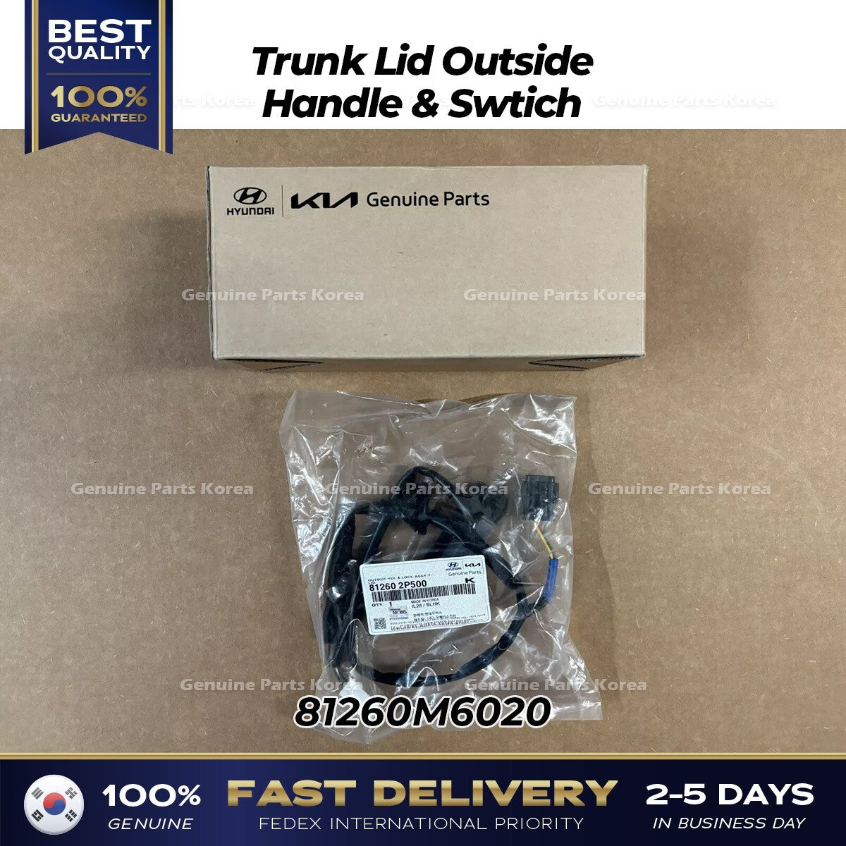 Genuine Trunk Lid Outside Handle & Swtich 81260M6020 for Kia Forte