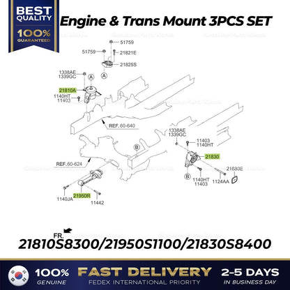 Genuine Engine & Trans Mount 3PCS SET for Hyundai Palisade Kia Telluride