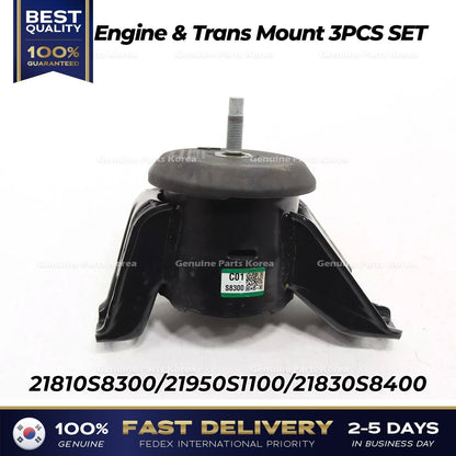 Genuine Engine & Trans Mount 3PCS SET for Hyundai Palisade Kia Telluride