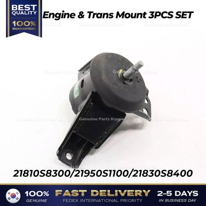 Genuine Engine & Trans Mount 3PCS SET for Hyundai Palisade Kia Telluride