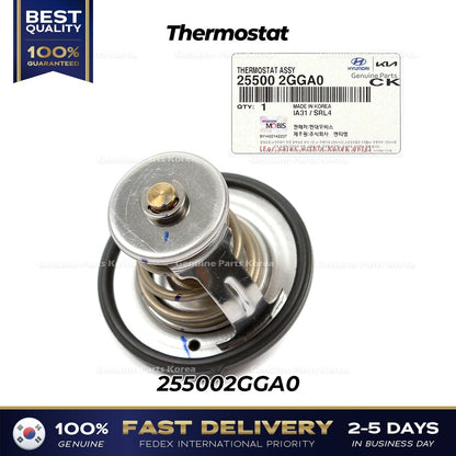Genuine Thermostat 255002GGA0 for Hyundai Santa Fe Kia Optima