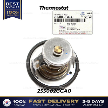 Genuine Thermostat 255002GGA0 for Hyundai Santa Fe Kia Optima