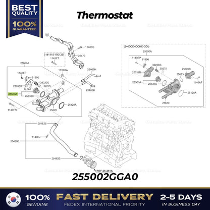 Genuine Thermostat 255002GGA0 for Hyundai Santa Fe Kia Optima