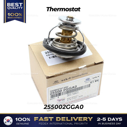 Genuine Thermostat 255002GGA0 for Hyundai Santa Fe Kia Optima