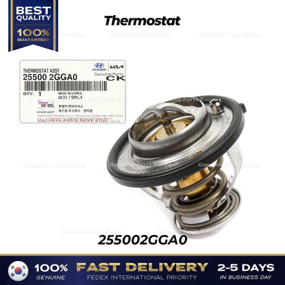 Genuine Thermostat 255002GGA0 for Hyundai Santa Fe Kia Optima