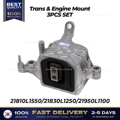 Genuine Trans & Engine Mount 3PCS SET for Hyundai Sonata