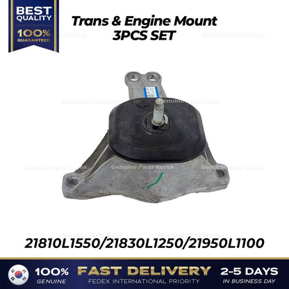 Genuine Trans & Engine Mount 3PCS SET for Hyundai Sonata
