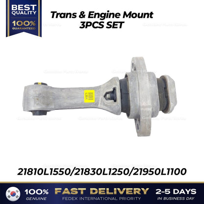 Genuine Trans & Engine Mount 3PCS SET for Hyundai Sonata