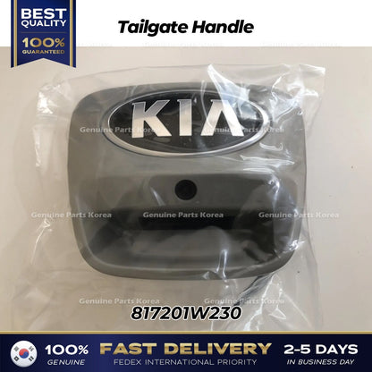Genuine Tailgate Handle 817201W230 for Kia Rio