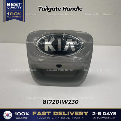 Genuine Tailgate Handle 817201W230 for Kia Rio