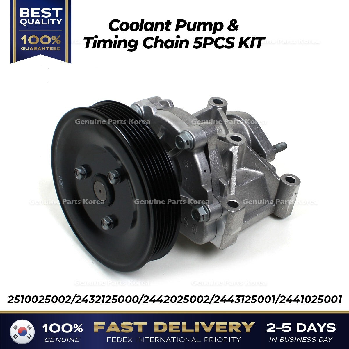 Genuine Coolant Pump & Timing Chain 5PCS KIT 2510025002 for Hyundai Kia