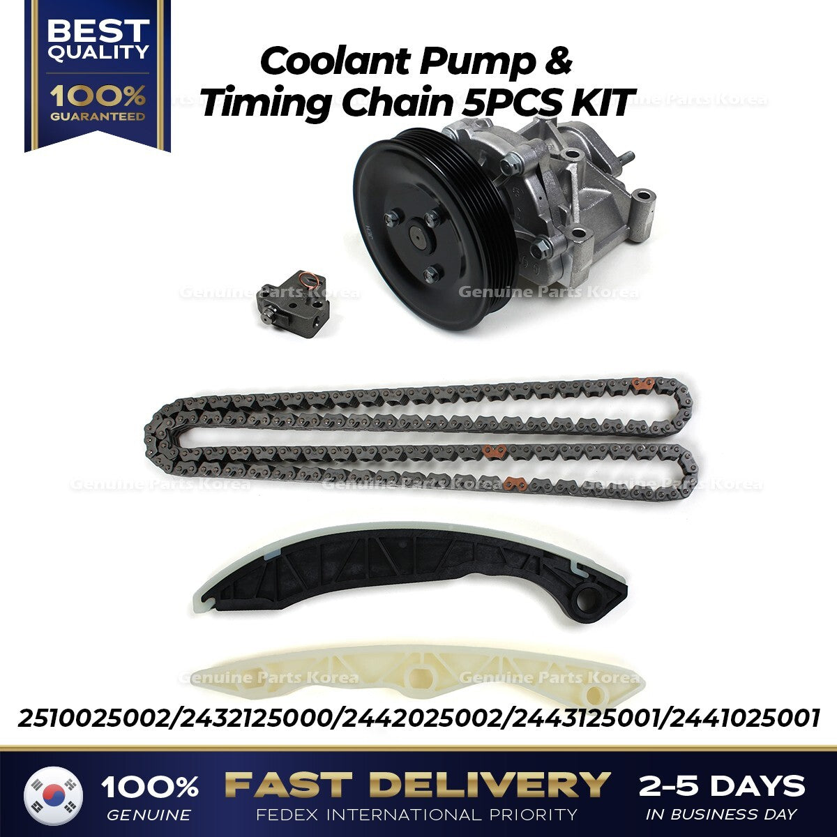 Genuine Coolant Pump & Timing Chain 5PCS KIT 2510025002 for Hyundai Kia