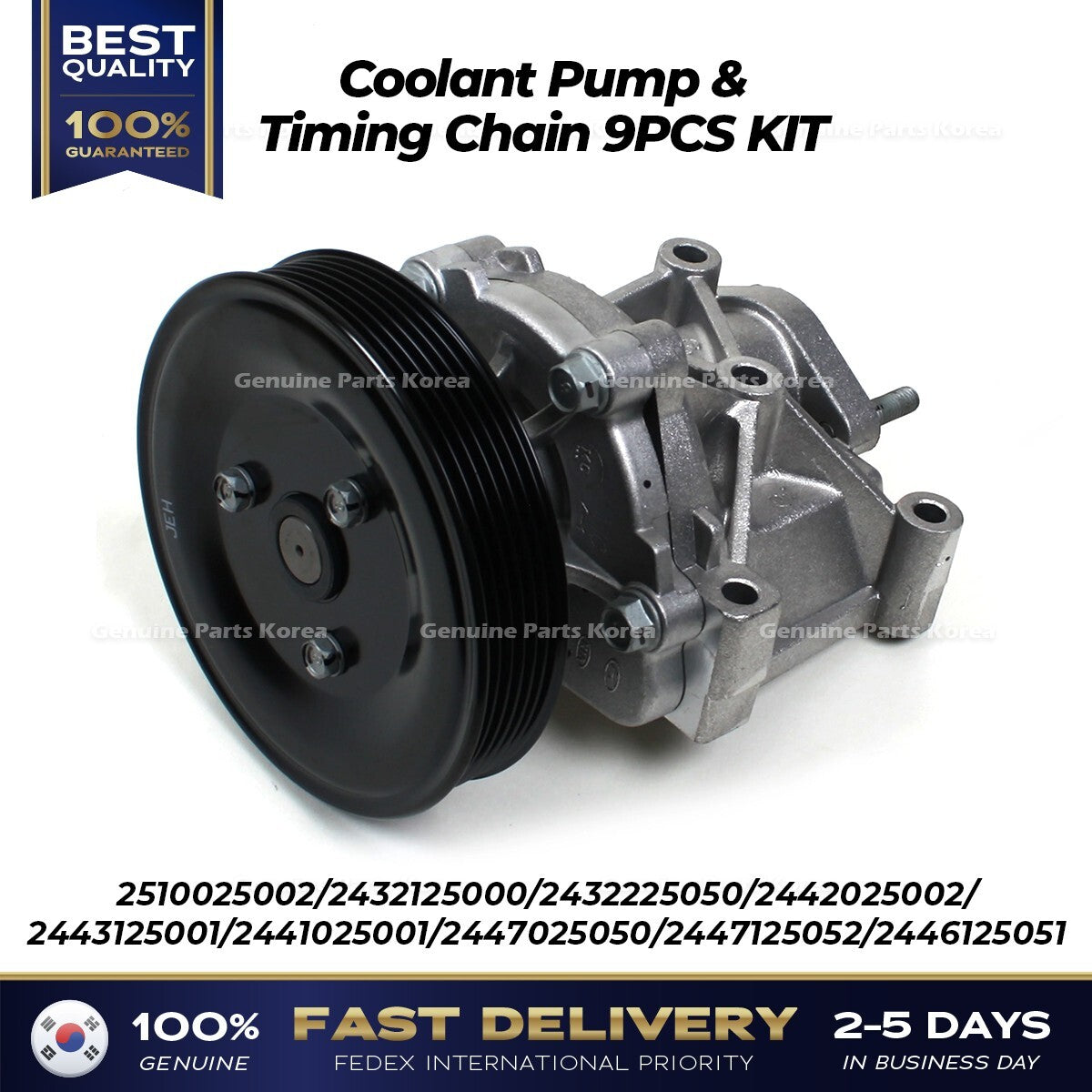 Genuine Coolant Pump & Timing Chain 9PCS SET 2510025002 for Hyundai Kia