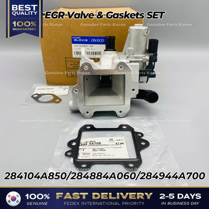 Genuine EGR Valve & Gaskets SET 284104A850 for Hyundai H100 Kia K2500
