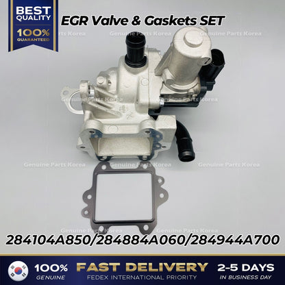 Genuine EGR Valve & Gaskets SET 284104A850 for Hyundai H100 Kia K2500