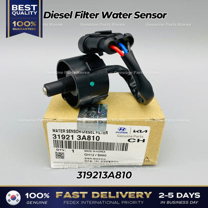 Genuine Diesel Filter Water Sensor 319213A810 for Hyundai Tuscon Kia Sportage