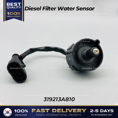 Genuine Diesel Filter Water Sensor 319213A810 for Hyundai Tuscon Kia Sportage