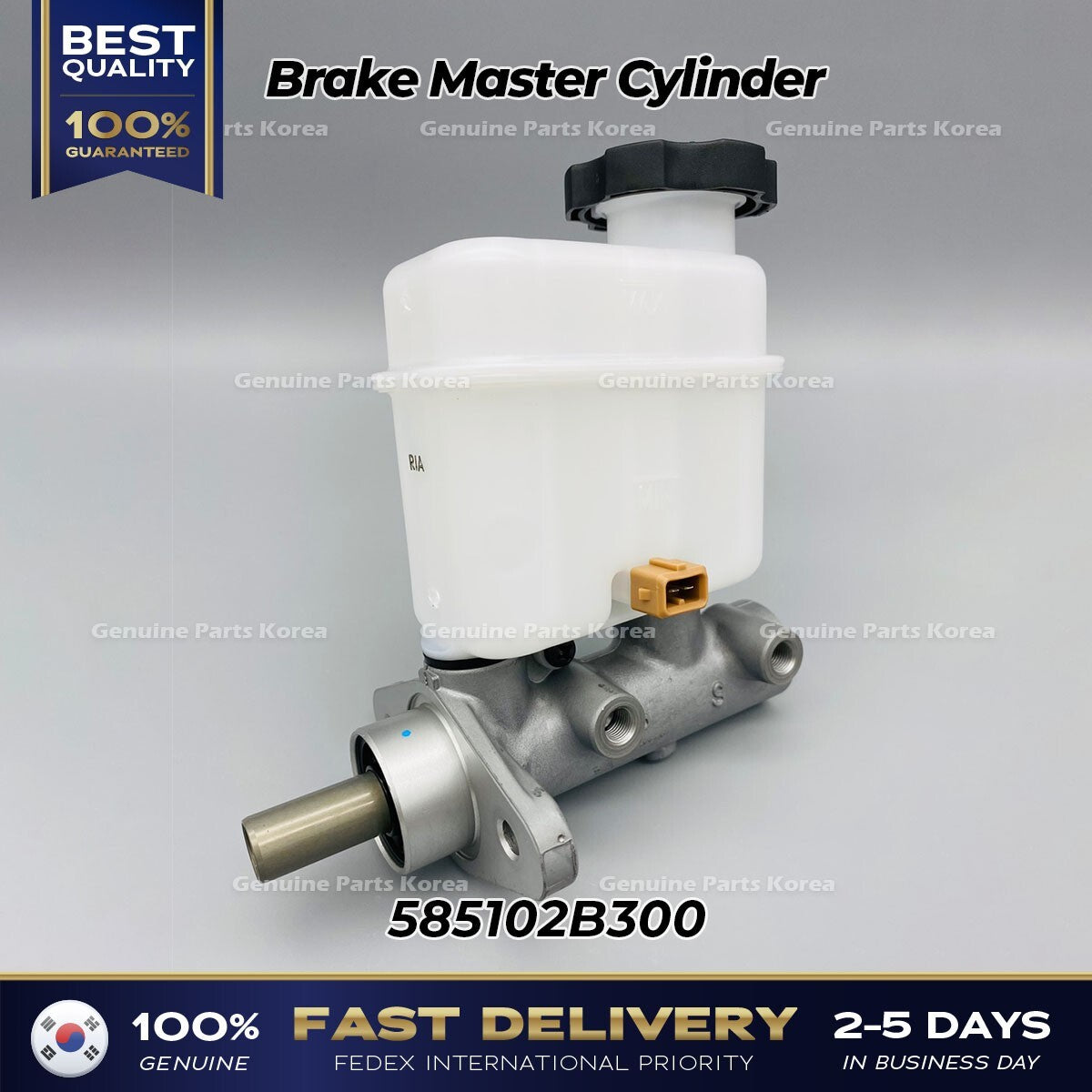Genuine Brake Master Cylinder 585102B300 for Hyundai Santa Fe