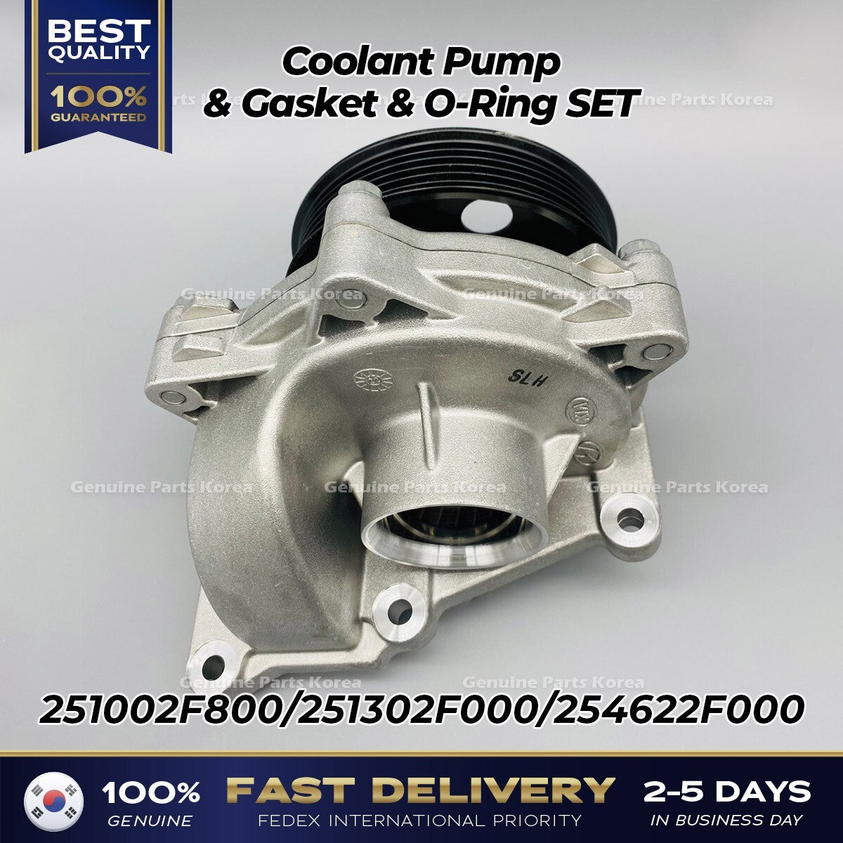 Genuine Coolant Pump & Gasket & O-Ring SET 251002F800 for Hyundai