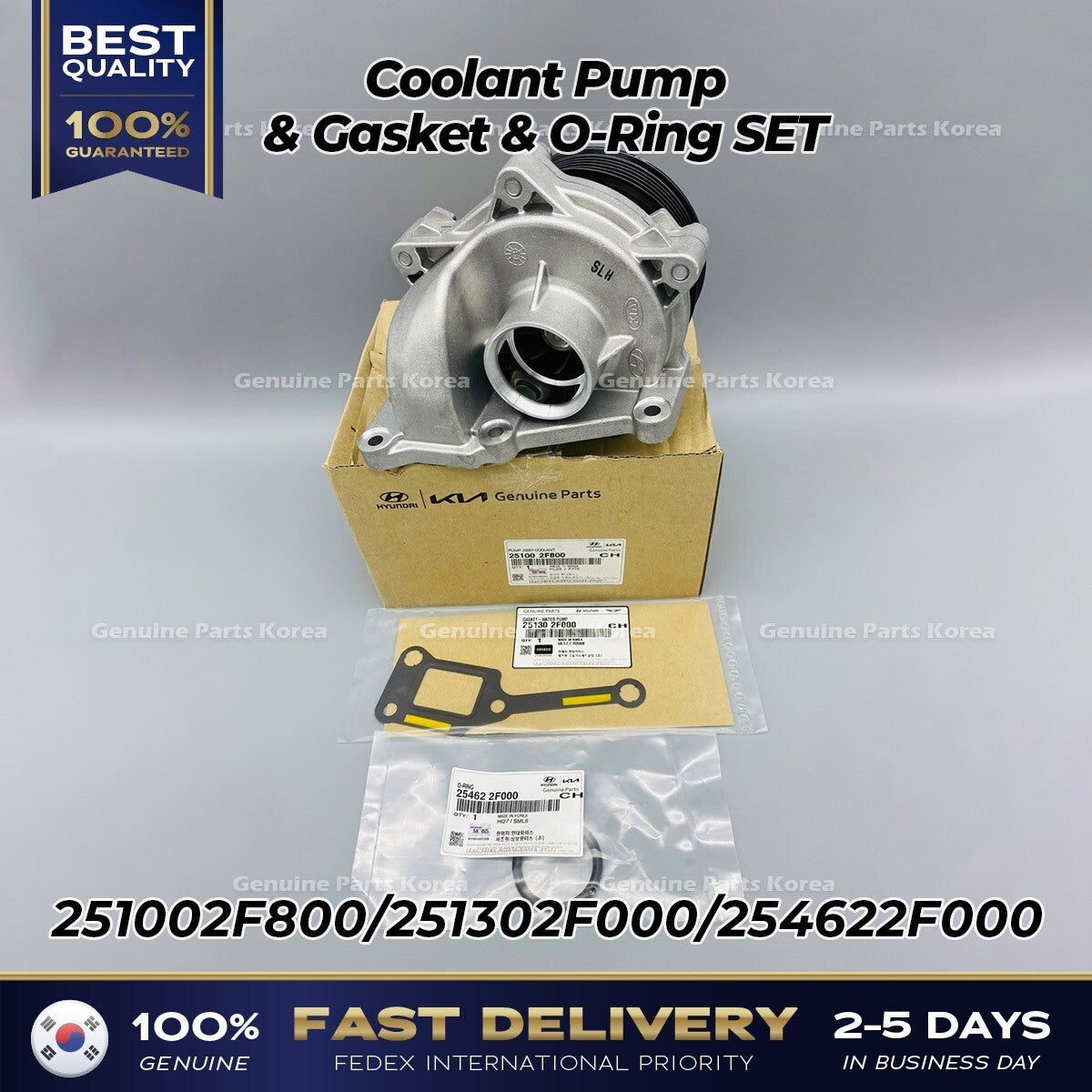 Genuine Coolant Pump & Gasket & O-Ring SET 251002F800 for Hyundai