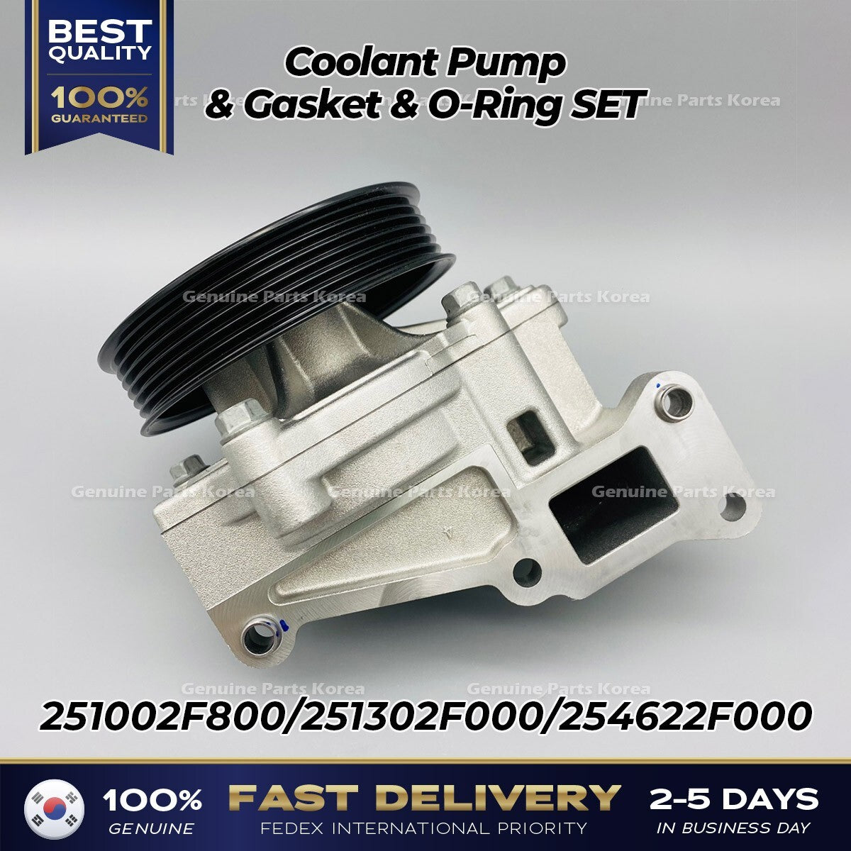 Genuine Coolant Pump & Gasket & O-Ring SET 251002F800 for Hyundai